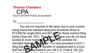 SAMPLE ACCOUNTANT/CPA INCOME REFERENCE LETTER