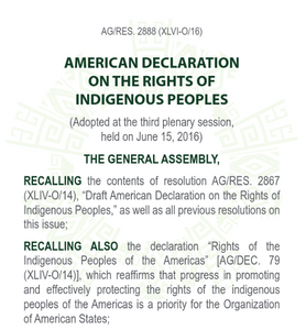 American Declaration of Rights of Indigenous Peoples Affidavit
