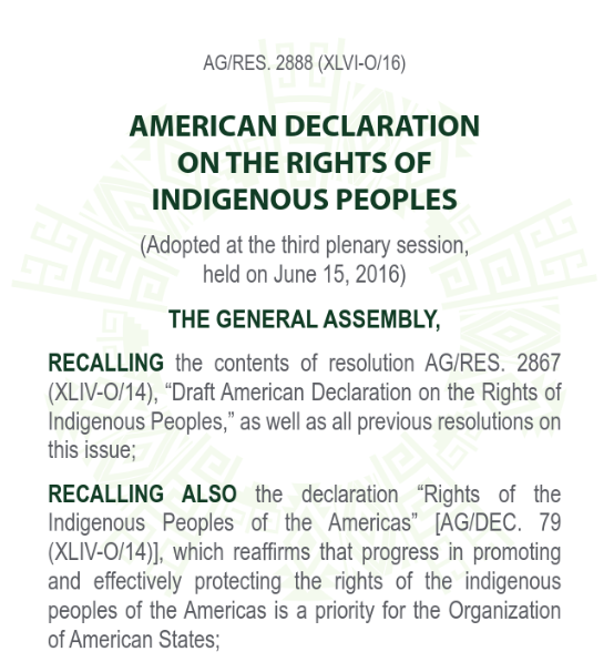 American Declaration of Rights of Indigenous Peoples Affidavit