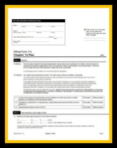 OFFICIAL 113 CHAPTER 13 PLAN FORM