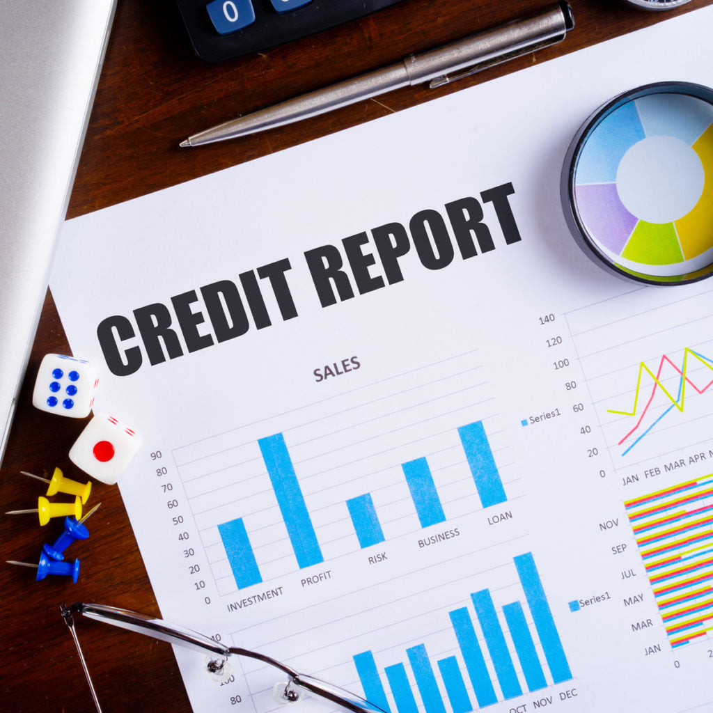 Credit Report Review (1 Credit Report)